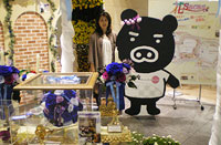 Boo Boo with roses