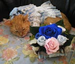 1 Jun, 2009 with bluerose